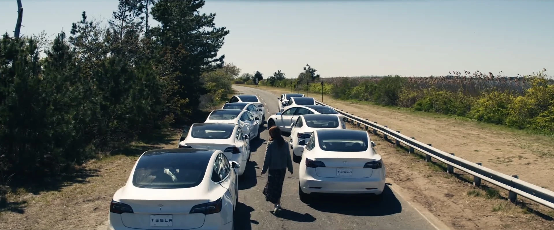 Tesla vehicles - before
